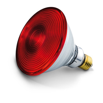 Beurer IL 21 & IL 35 Infrared bulb 150 W
