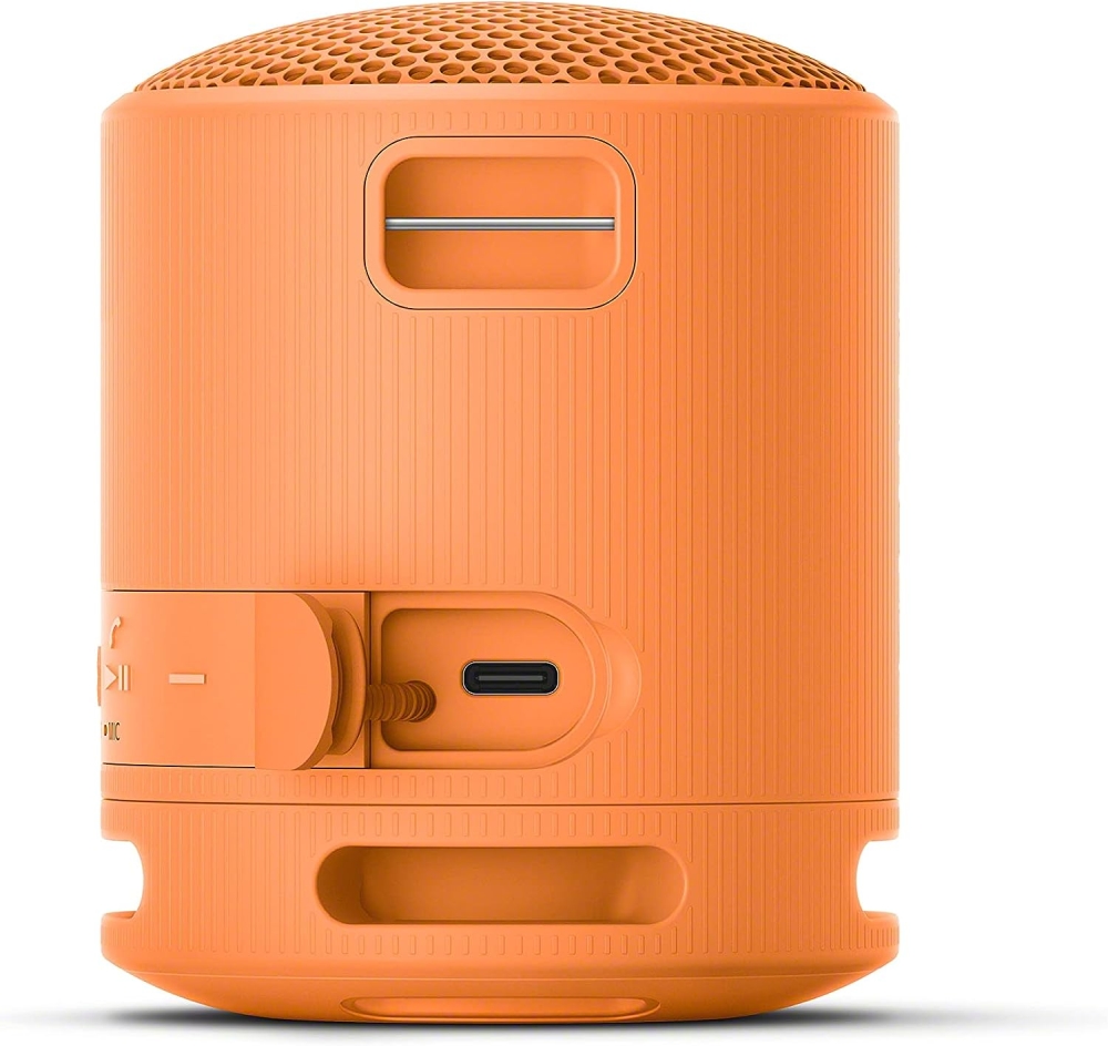 Sony SRS-XB100 Portable Bluetooth Speaker