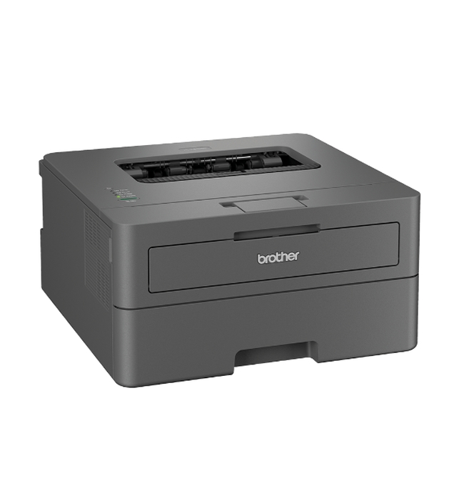 Brother HL-L2402D Laser Printer