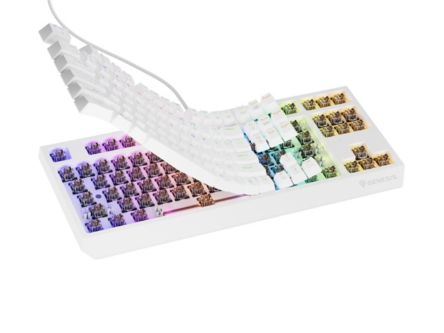 Genesis Gaming Keyboard Thor 230 TKL US RGB Mechanical Outemu Brown White Hot Swap