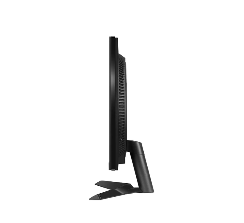 LG 24GS60F-B