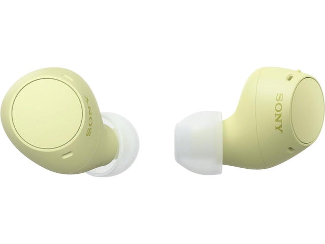Sony Headset WF-C510