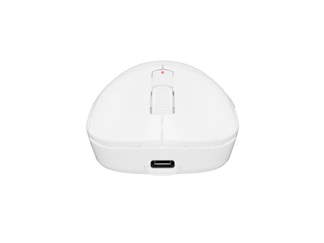 Fury Gaming Mouse Tanto T4 12000DPI Wireless With Software White