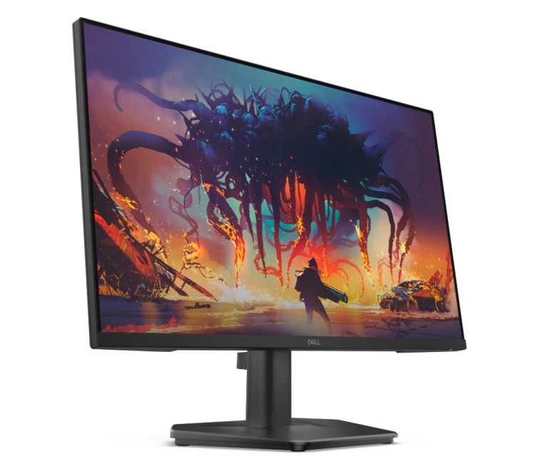 Dell SE2425HG