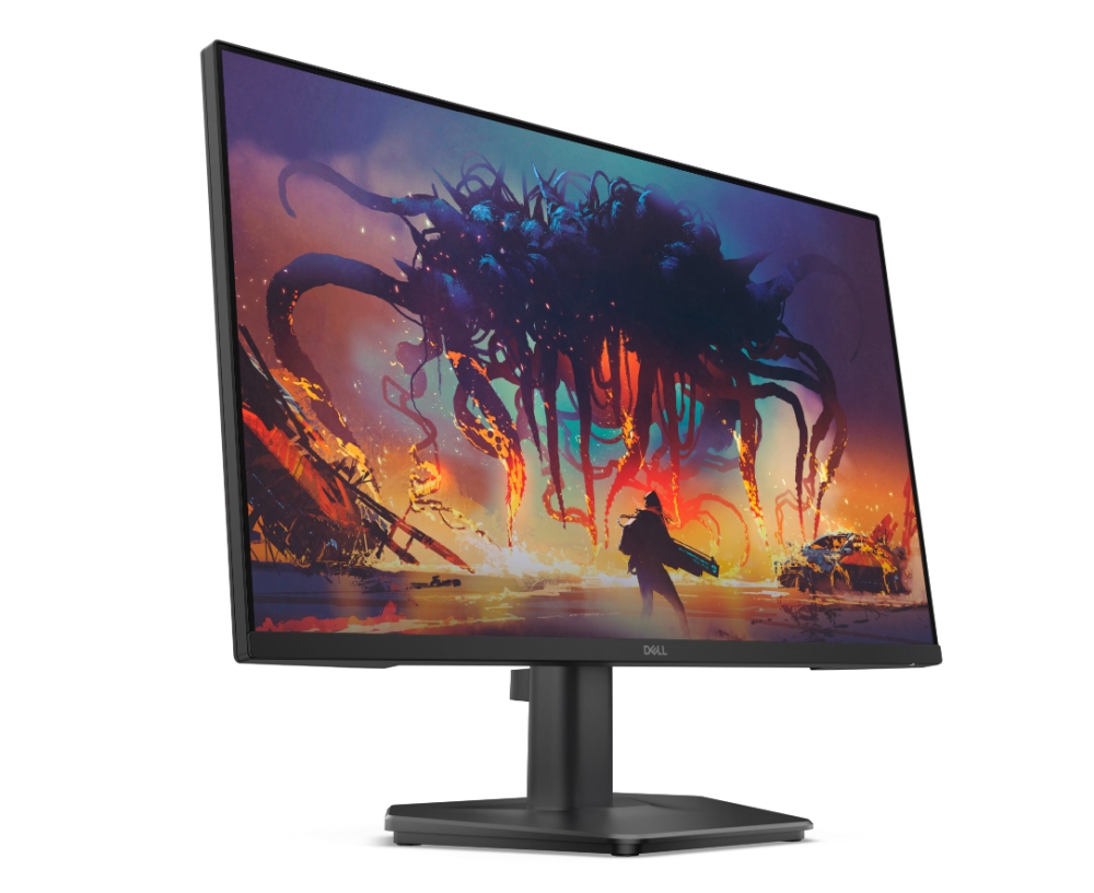 Dell SE2425HG