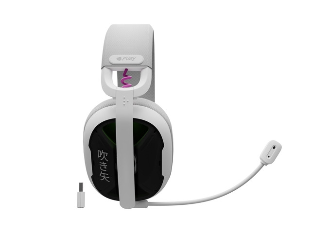 Fury Gaming Headset
