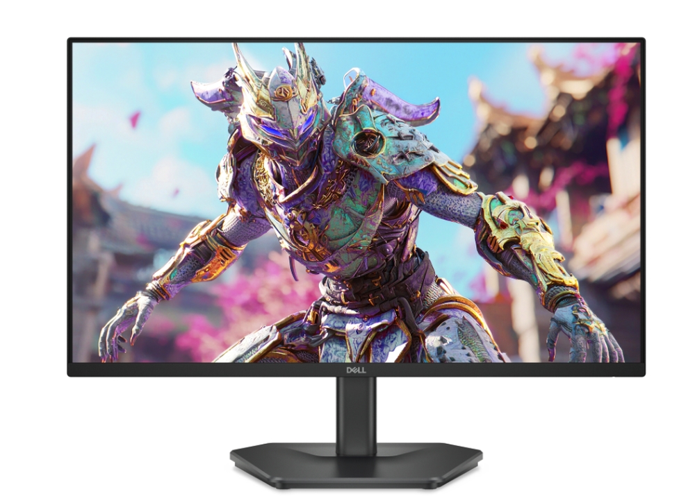 Dell SE2426HG