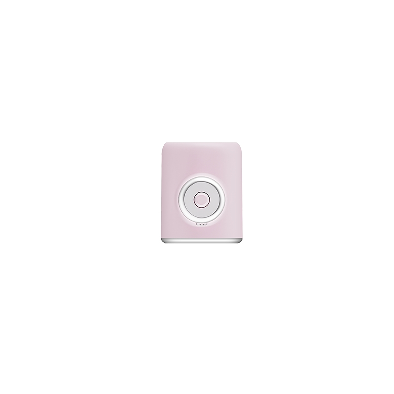 Honor CHOICE WOF High-speed Hair Dryer Pro Pink